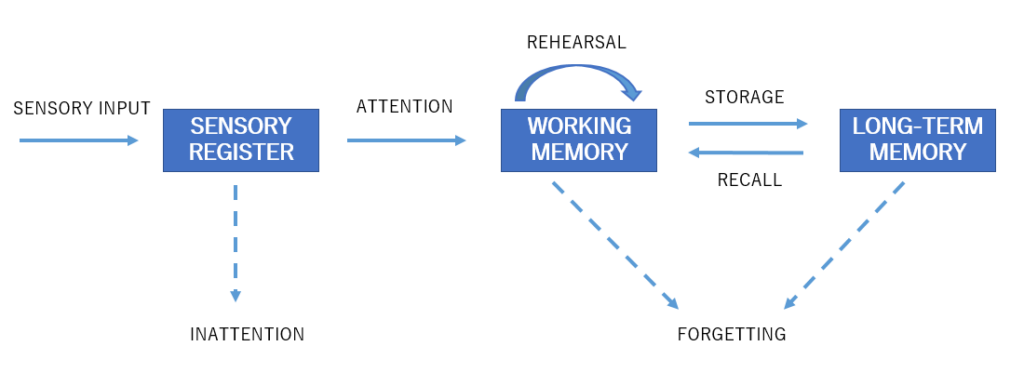 Image: The Atkinson and Shiffrin model of information processing in memory.